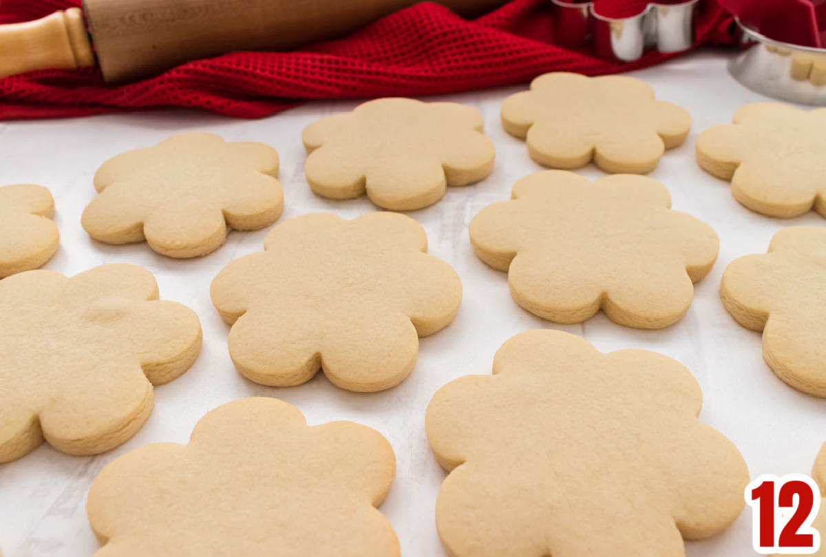 Closeup on a dozen perfectly baked rolled Sugar Cookies laying on a white table in front of a red towel, cookie cutters and a rolling pin.
