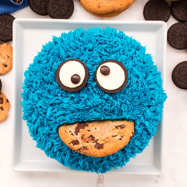 Cookie Monster Cake