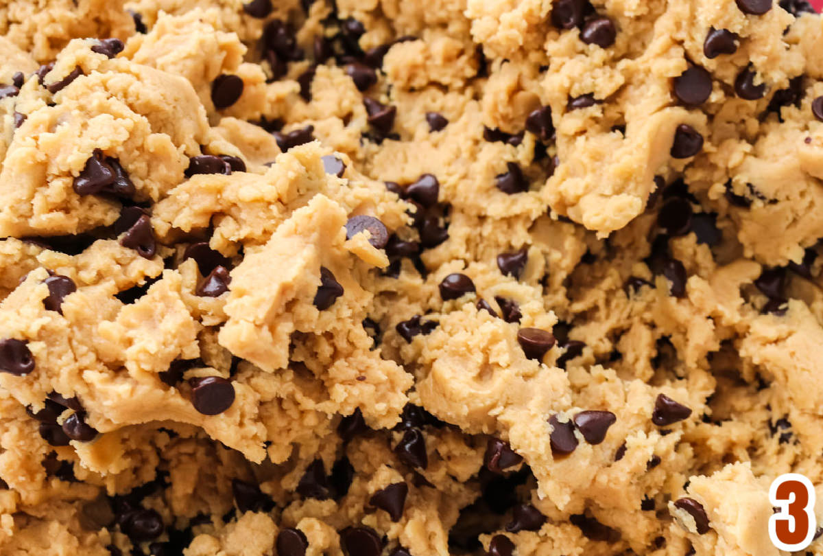 Closeup on Chocolate Chip Peanut Butter Cookie Dough.