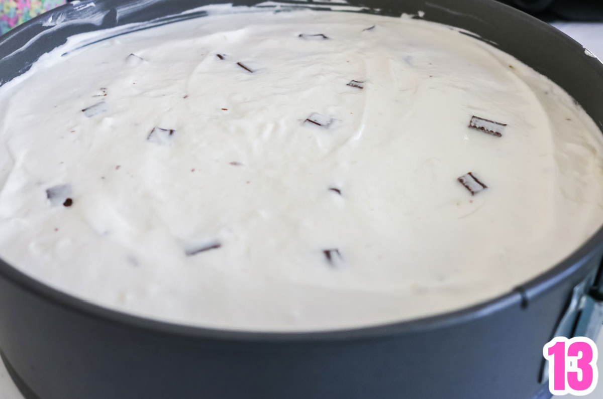 S'more Pie in a springform pan ready to be refrigerated.