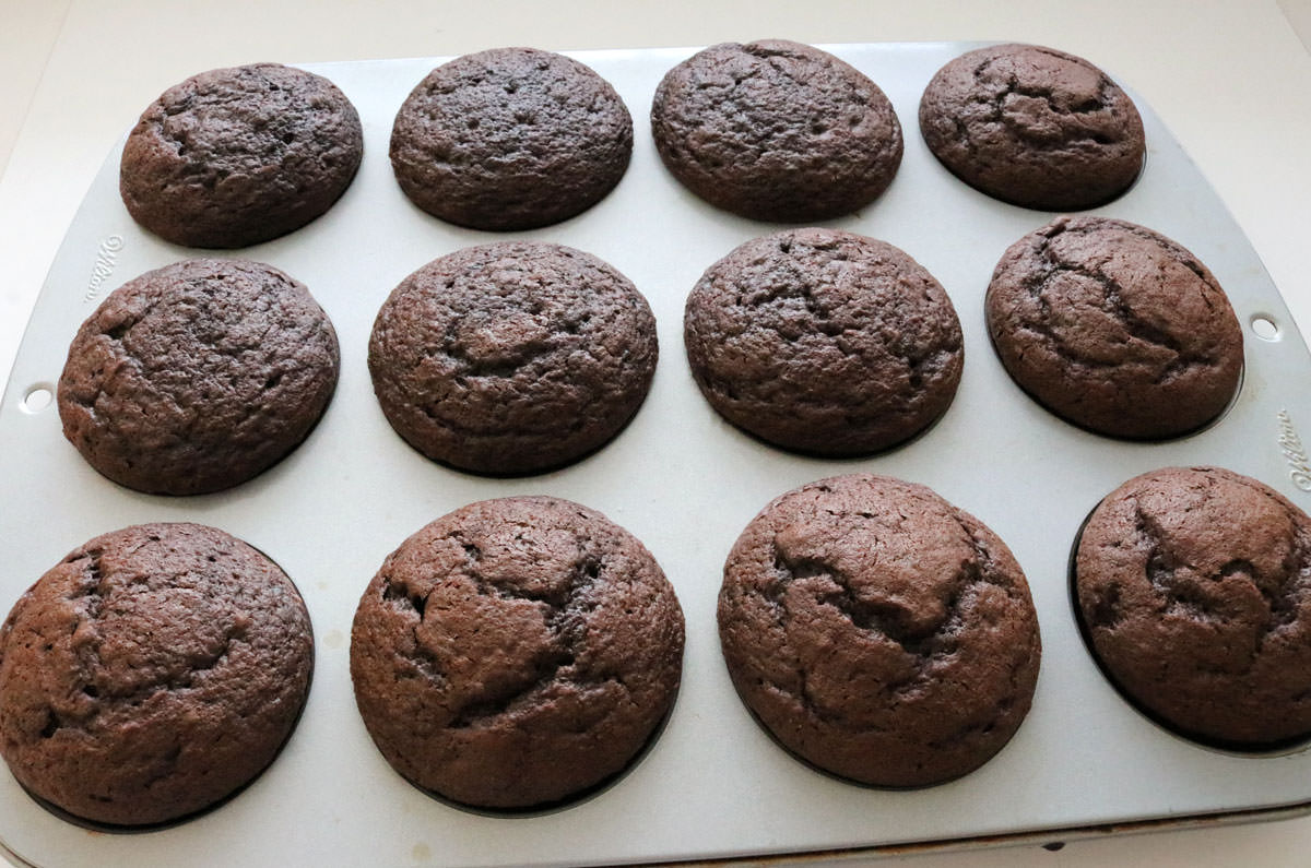 A batch of unfrosted chocolate cupcakes.