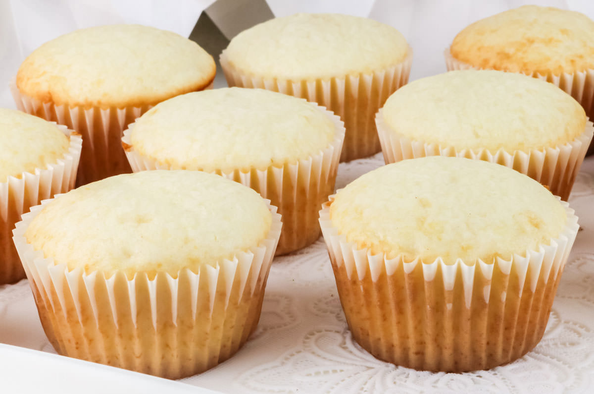 A batch of unfrosted white cupcakes.